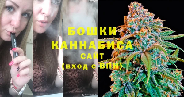 сатива Армянск