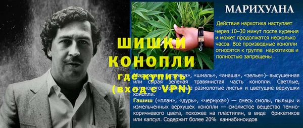spice Арсеньев