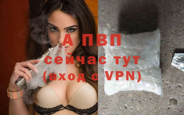 сатива Армянск