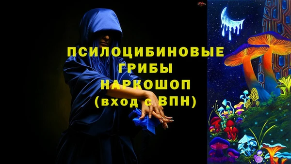 spice Арсеньев