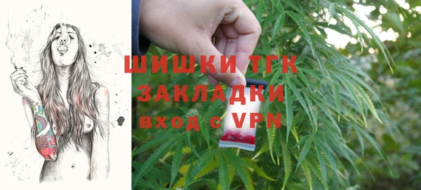сатива Армянск