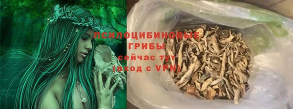 гашик Алзамай