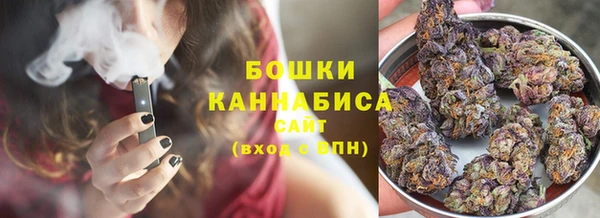 сатива Армянск